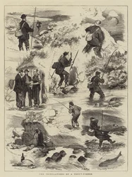 Die Leiden eines Forellenfischers